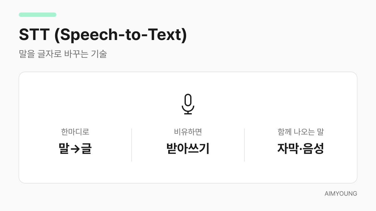 STT 카드 — 말을 글자로 바꾸는 기술, 마이크로 표현